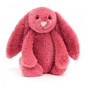 Conejo Jellycat Bashful Cerise Bunny 31cm x 12cm x 9cm Rosas Ecuador | MKAHP7152