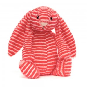 Conejo Jellycat Bashful Evey Bunny 31cm x 12cm x 9cm Rojas Ecuador | YHSDN1580