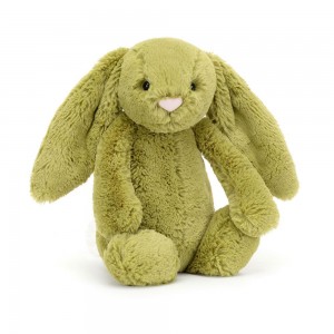 Conejo Jellycat Bashful Moss Bunny 31cm x 12cm x 9cm Verde Ecuador | IDUZX8605