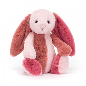 Conejo Jellycat Bashful Patchwork Coralia Bunny 31cm x 12cm x 9cm Rosas Ecuador | APNTM2891