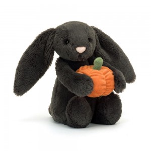 Conejo Jellycat Bashful Pumpkin Bunny 31cm x 12cm x 9cm Negras Ecuador | KEPDN8546