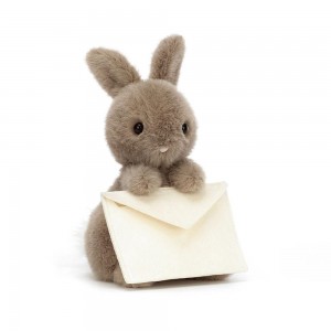 Conejo Jellycat Messenger Bunny 19cm x 12cm x 12cm Marrones Ecuador | JWTHC5103