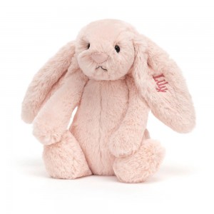 Conejo Jellycat Personalised Bashful Blush Bunny Medium 31cm x 12cm x 9cm Rosas Ecuador | EJWNC5896