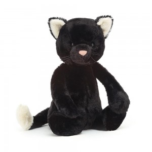 Gatos Y Gatitos Jellycat Bashful Kitten 12.2in x 4.7in x 3.5in Negras Ecuador | RJVTA6597