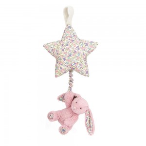 Juguetes Del Bebé Jellycat Blossom Tulip Bunny Star Musical Pull 30cm x 19cm x 3cm Rosas Ecuador | WLMJP9258