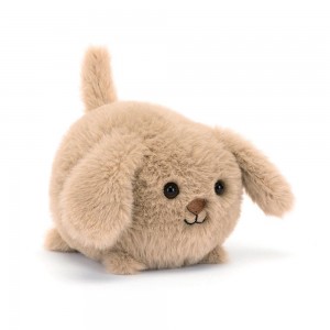 Mascota Jellycat Caboodle Puppy 10cm x 9cm x 11cm Beige Ecuador | IVCRE5432