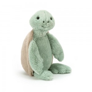 Océano Jellycat Bashful Turtle 31cm x 12cm x 9cm Verde Ecuador | OWDQY9741