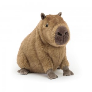 Peluche De Fauna Del Bosque Jellycat Clyde Capybara 21cm x 17cm x 24cm Marrones Ecuador | JTIYE2958