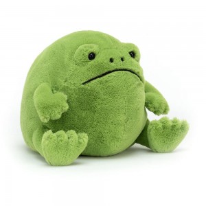 Peluche De Oso Jellycat Ricky Rain Frog 15cm x 16cm x 18cm Verde Ecuador | CSGHE8479