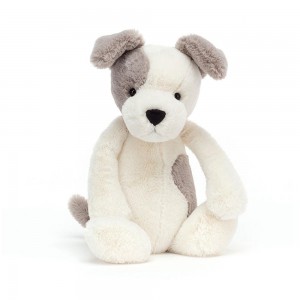 Perros Jellycat Bashful Terrier 12.2in x 4.7in x 3.5in Blancas Ecuador | XMDFZ4305
