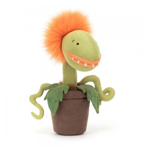 Plants Jellycat Amuseables Carniflore Tammie 27cm x 8cm x 8cm Naranjas Ecuador | CNBQV4108