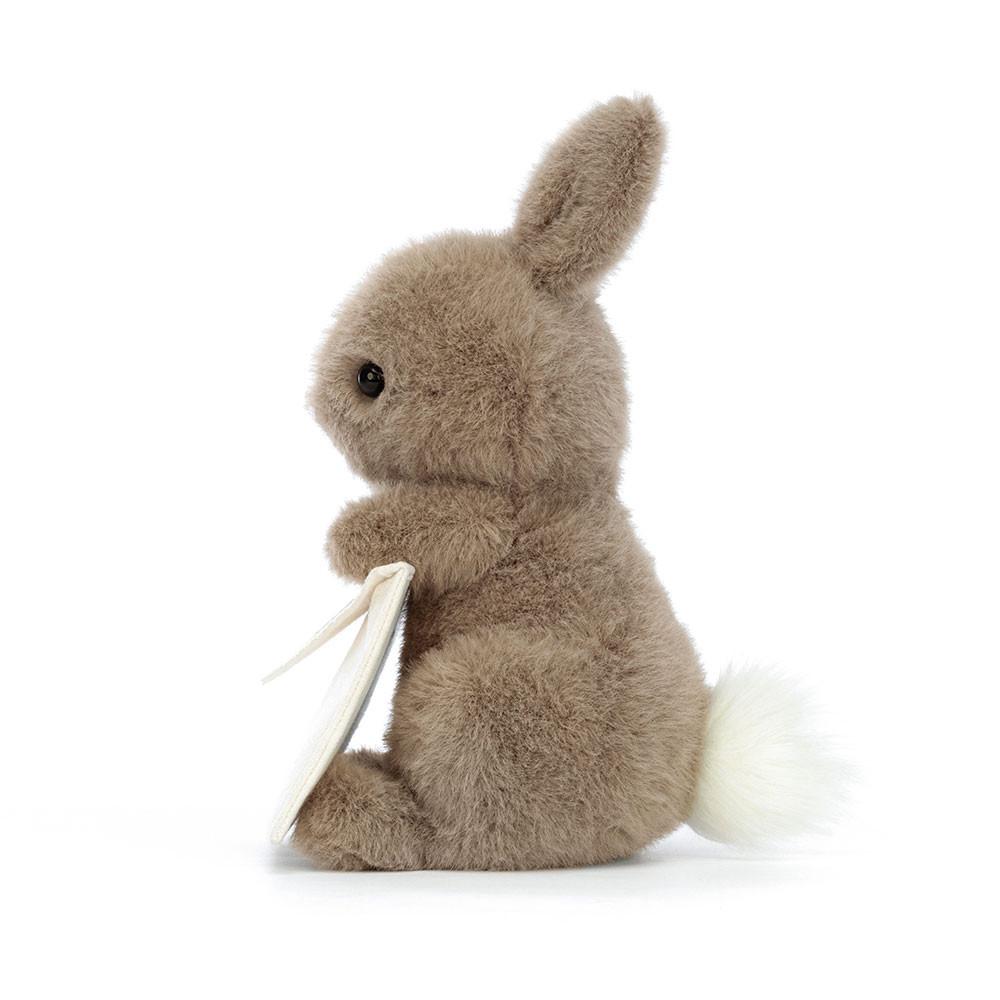 Conejo Jellycat Messenger Bunny 19cm x 12cm x 12cm Marrones  Ecuador |  JWTHC5103