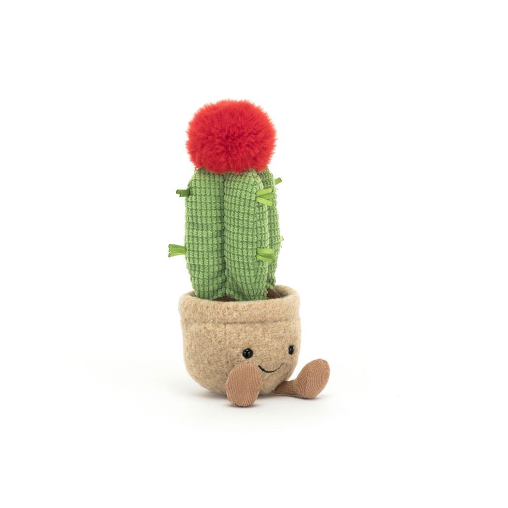 Plant Jellycat Amuseables Moon Cactus 21cm x 7cm x 7cm Verde  Ecuador |  BUEVQ4568