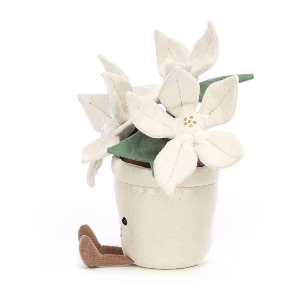 Plants Jellycat Amuseables Gold Poinsettia 25cm x 10cm x 10cm Blancas  Ecuador |  LXGCA7036
