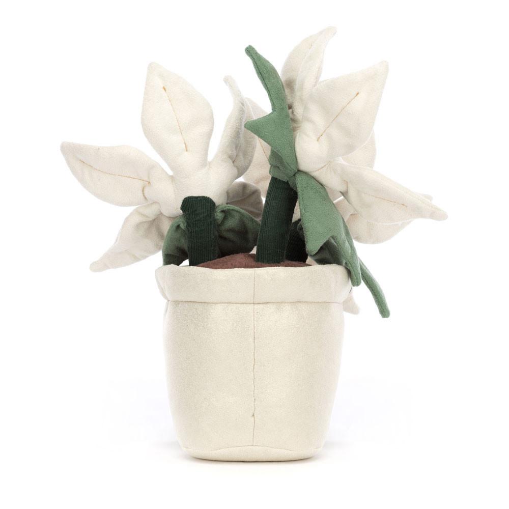 Plants Jellycat Amuseables Gold Poinsettia 25cm x 10cm x 10cm Blancas  Ecuador |  LXGCA7036